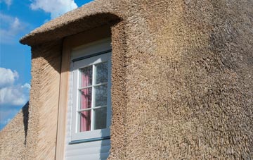 South Tehidy thatch roof disadvantages